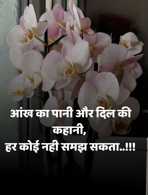 good-morning-love-shayari-25