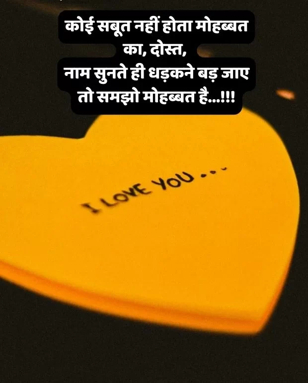 i-love-you-shayari-31