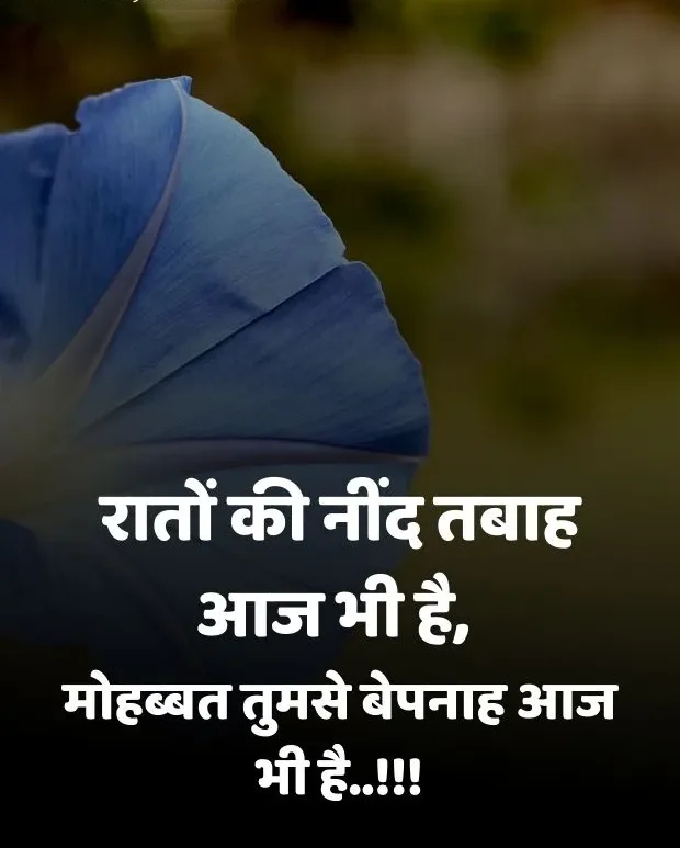 romantic-good-morning-shayari-13