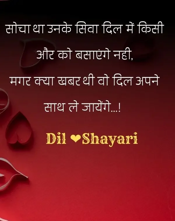 dil-shayari-in-hindi-17
