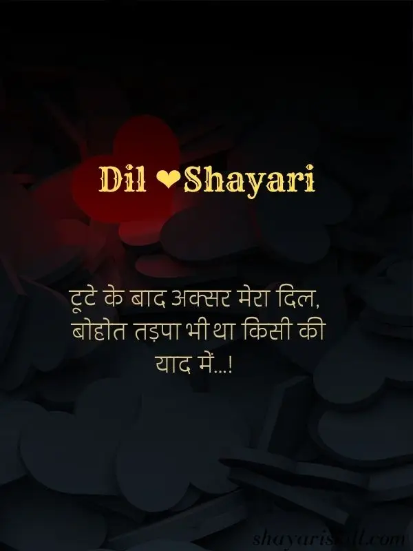 dil-shayari-in-hindi-18