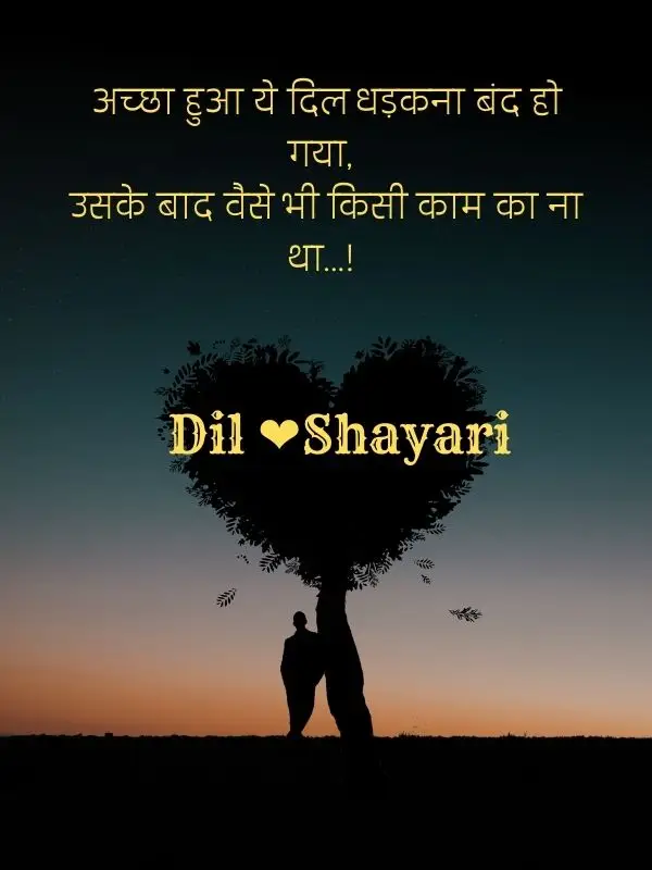 dil-shayari-in-hindi-19