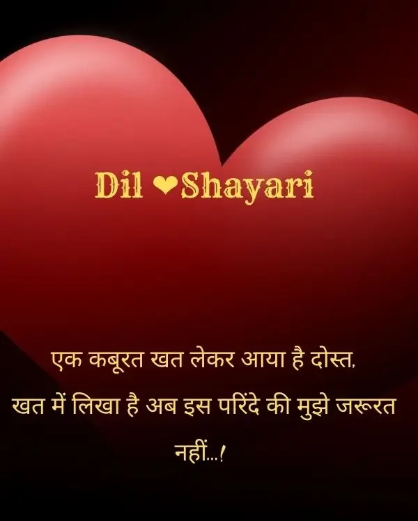 dil-shayari-in-hindi-48