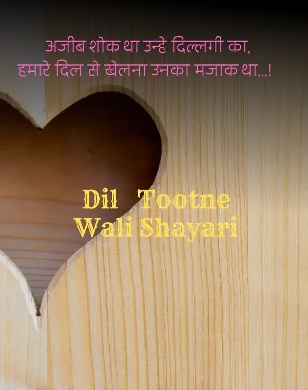 dil-shayari-in-hindi-54