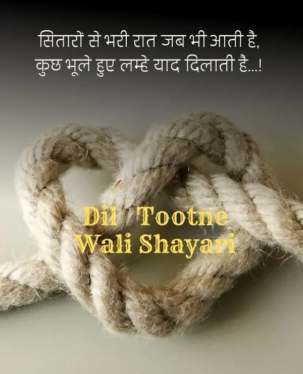 dil-shayari-in-hindi-56