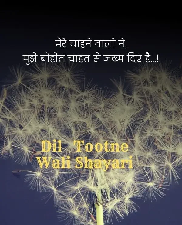 dil-shayari-in-hindi-59