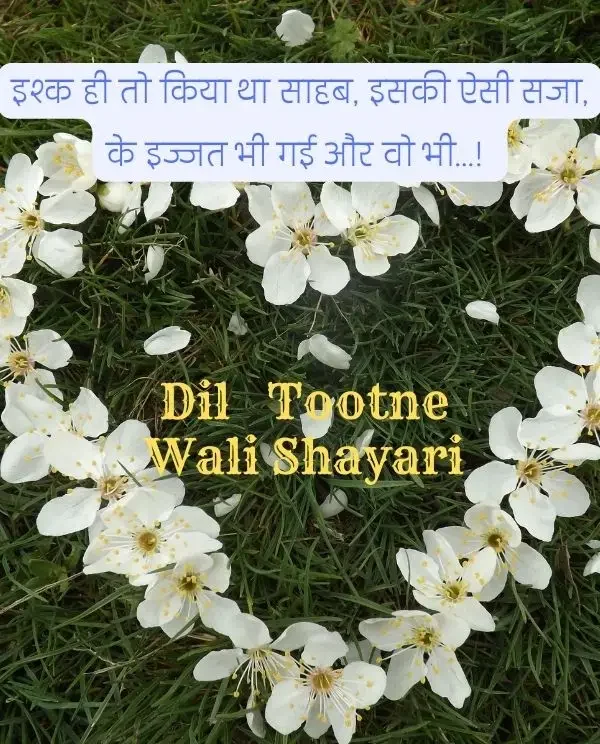 dil-shayari-in-hindi-64