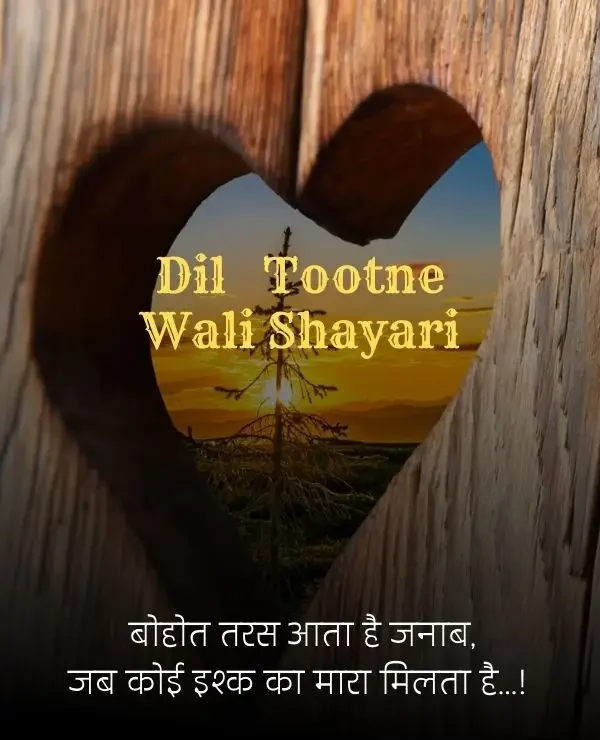 dil-shayari-in-hindi-65