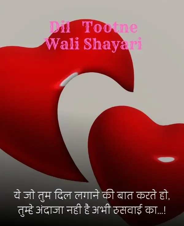 dil-shayari-in-hindi-70