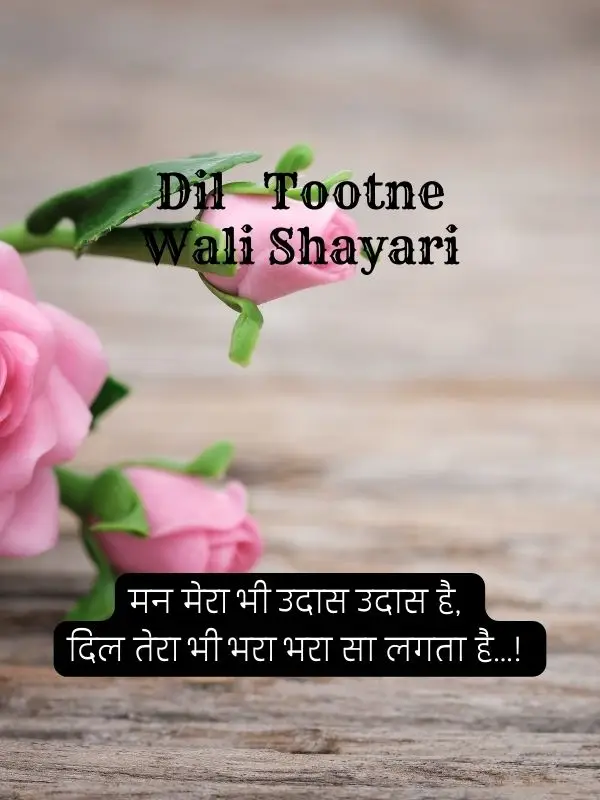 dil-shayari-in-hindi-77