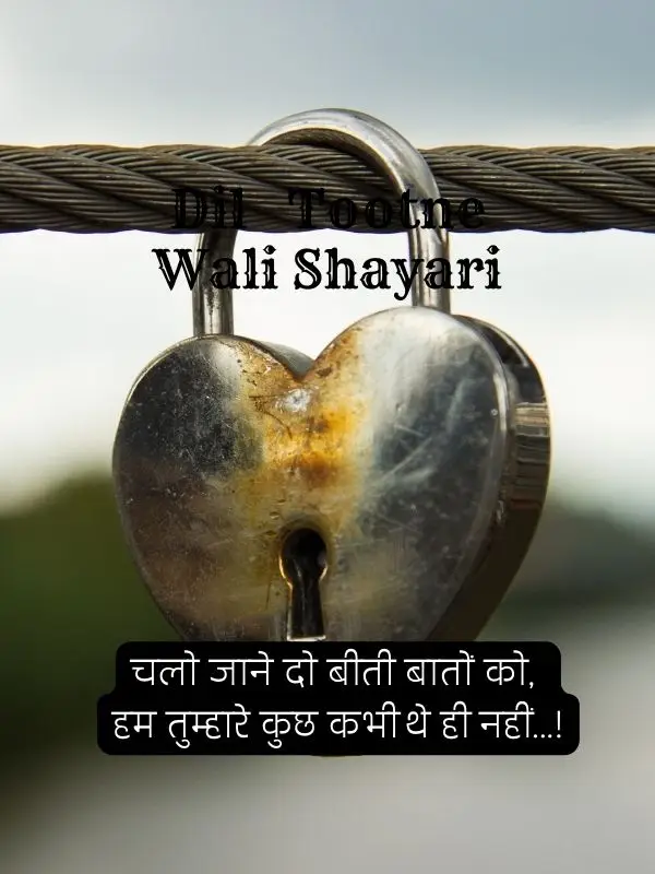 dil-shayari-in-hindi-78