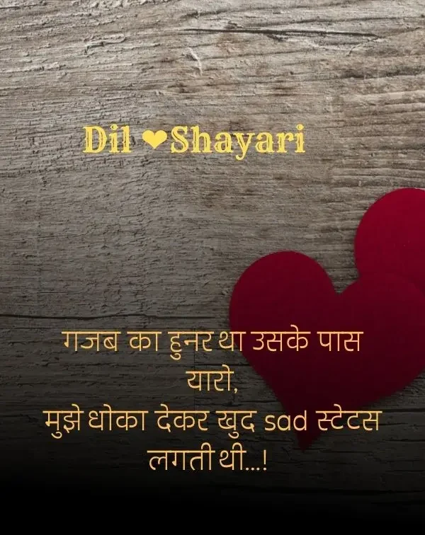 dil-shayari-in-hindi-8