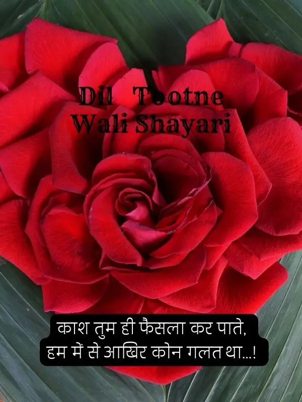 dil-shayari-in-hindi-80