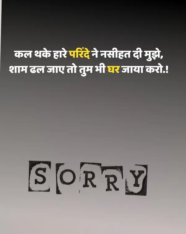 sorry-shayari-in-hindi-13