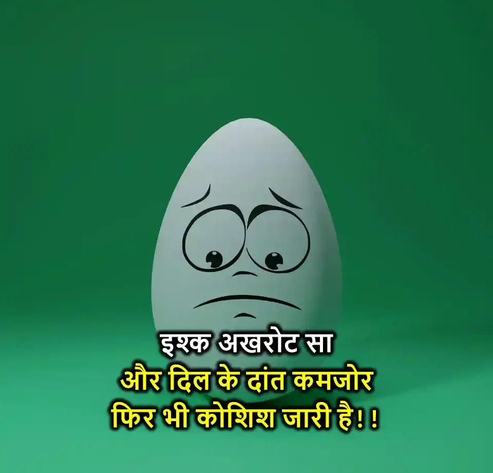 FUNNY-SHAYARI-65