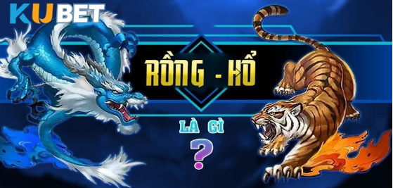 Read Odds on KUBET for Maximum Success