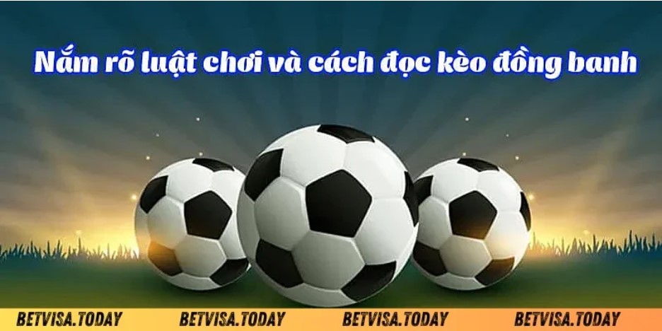 Diverse Sports Markets and Betting Options