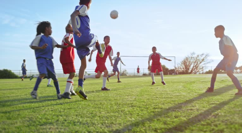 Inspiring Environmental Awareness